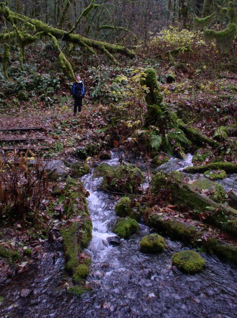 Waukeena Mult Falls 11.26.05 044 